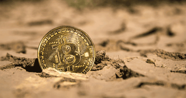 A gold Bitcoin coin partially embedded in dry, cracked earth.