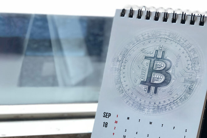 Crypto as a long term investment
