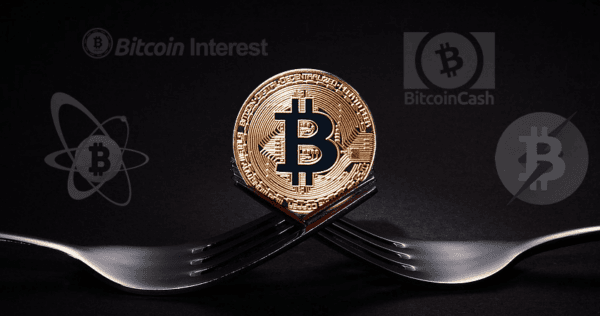 A gold Bitcoin coin balanced between two forks with logos for Bitcoin Interest, Bitcoin Cash, and other cryptocurrencies in the background.