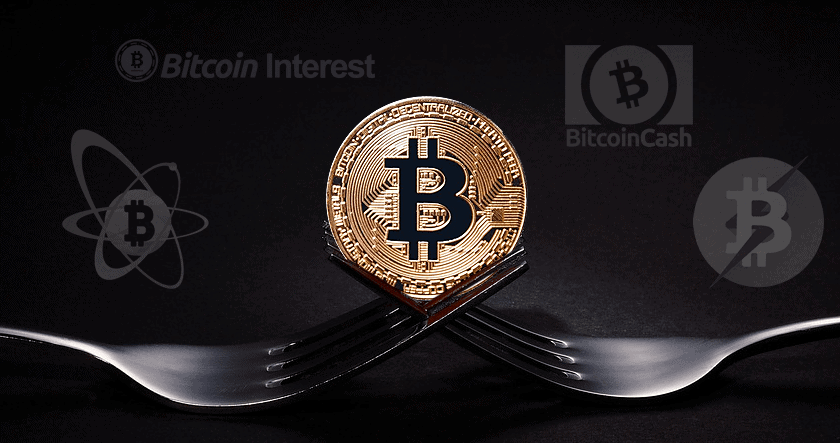 A gold Bitcoin coin balanced between two forks with logos for Bitcoin Interest, Bitcoin Cash, and other cryptocurrencies in the background.
