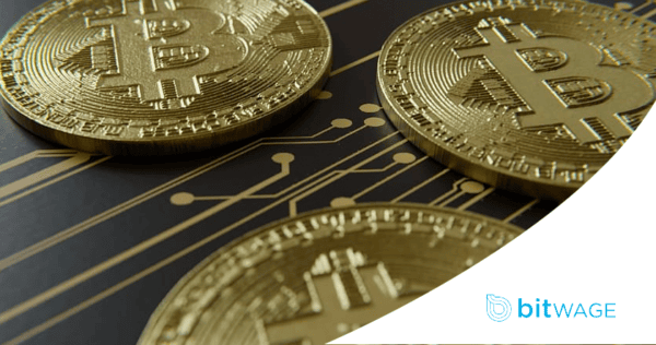 Close-up of three physical Bitcoin coins on a circuit-like background, with the Bitwage logo in the corner.