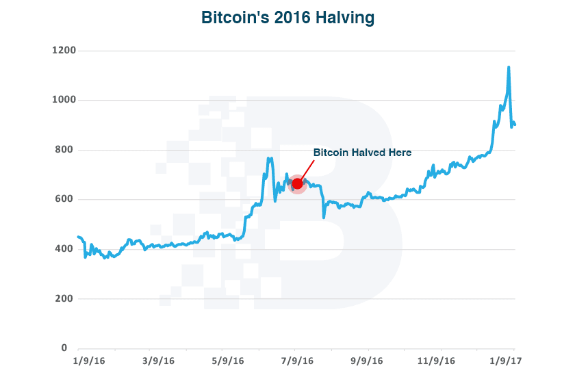 Line chart showing Bitcoin price from 1/9/16 to 1/9/17, with a marked point labeled "Bitcoin Halved Here" around mid-2016, followed by a price increase.