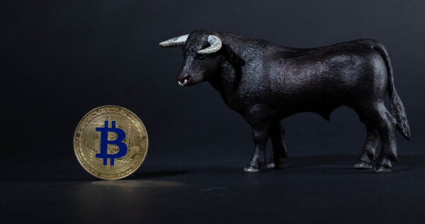 A gold bitcoin coin stands upright next to a model black bull against a dark background.