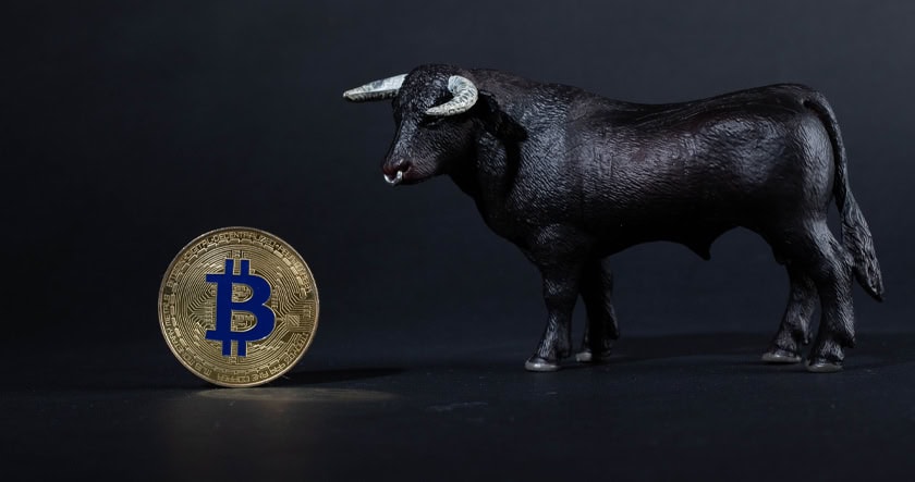 A gold bitcoin coin stands upright next to a model black bull against a dark background.