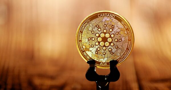 A Cardano (ADA) cryptocurrency coin standing upright on a black holder against a blurred golden-brown background.