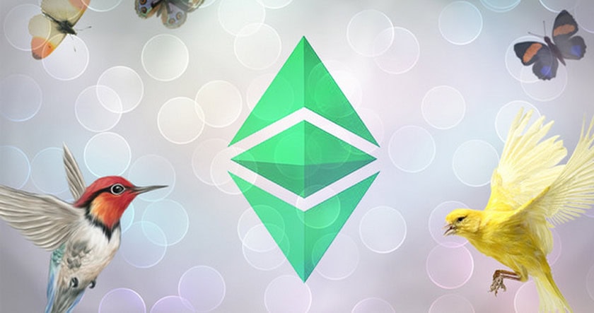 A green geometric symbol is centered with a hummingbird, a yellow canary, and two butterflies on a light, bokeh background.