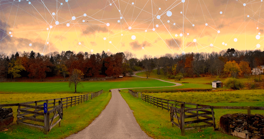 A country road leads to a wooded area under a sunset sky with digital network lines and nodes superimposed across the upper part of the image.