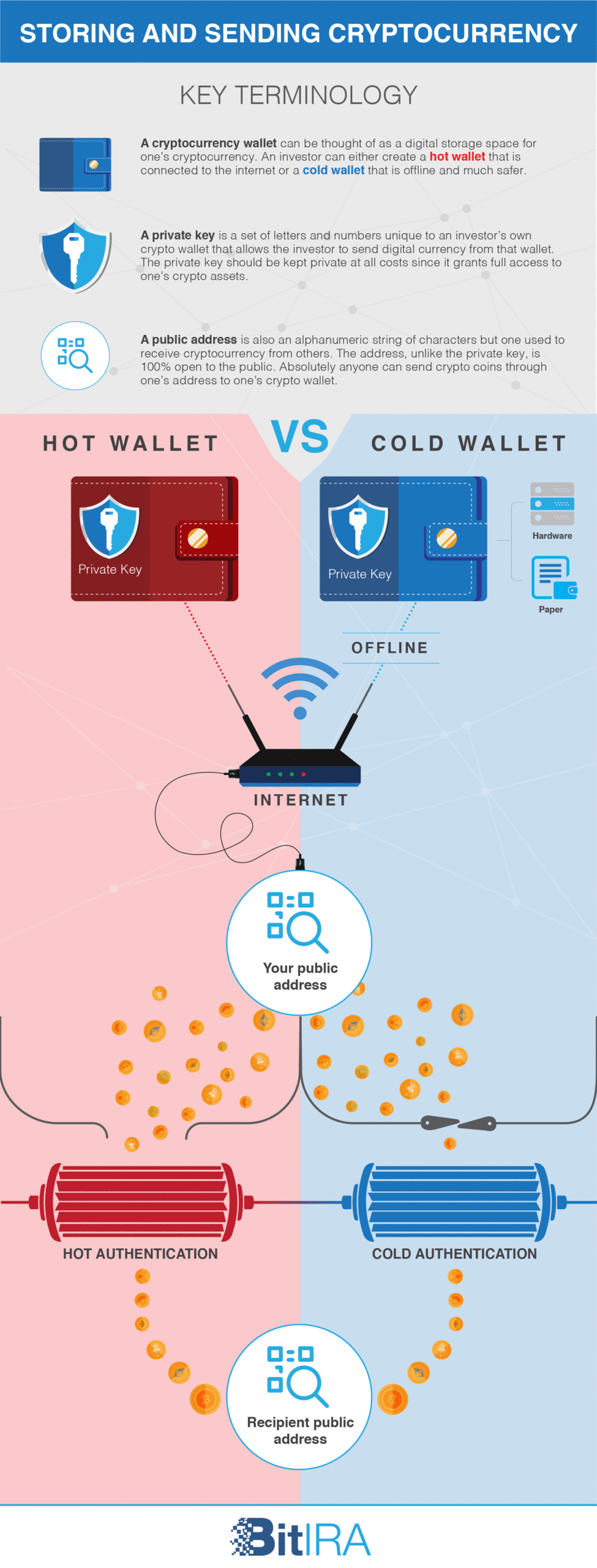 Infographic explaining differences between hot and cold cryptocurrency wallets, including key terminology, internet connectivity, and authentication methods.